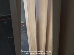 architettonici di alluminio dei pannelli di parete di spessore di 10mm sospesi rendono incombustibile